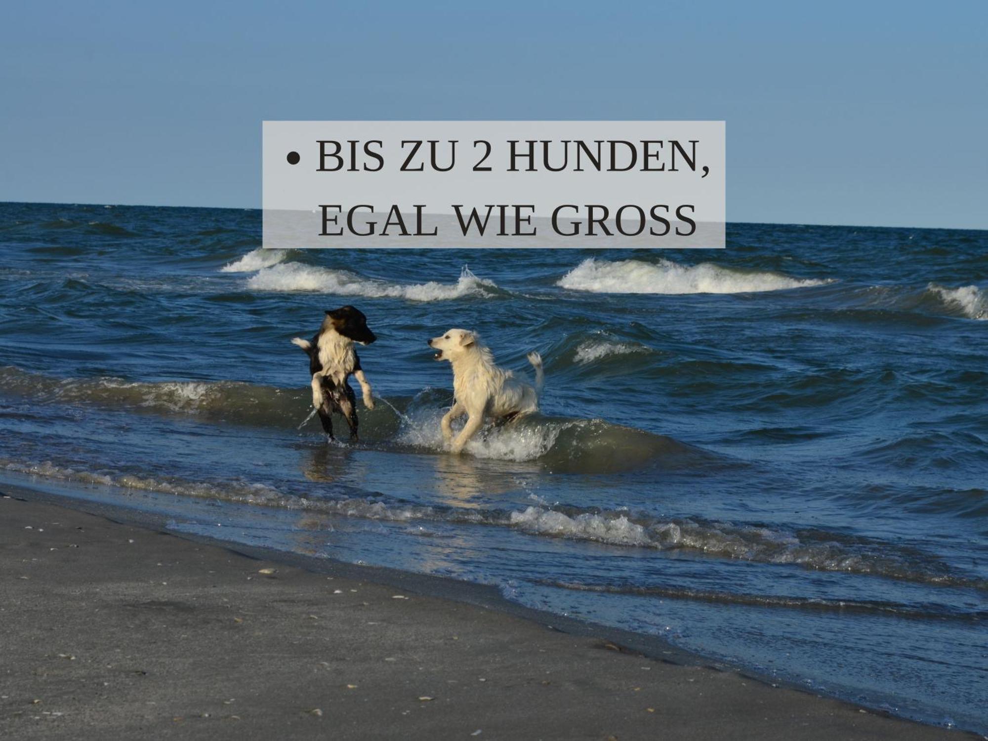 Haus Krabbe, Apartment 10, Naehe Bremerhaven, Fuer 1-2 Personen, 2 Schlafzimmer, Einzelbetten, Zweite Etage, Zentral Gelegen, Bis Zu 2 Hunden Kostenfrei Willkommen Wremen Exterior foto